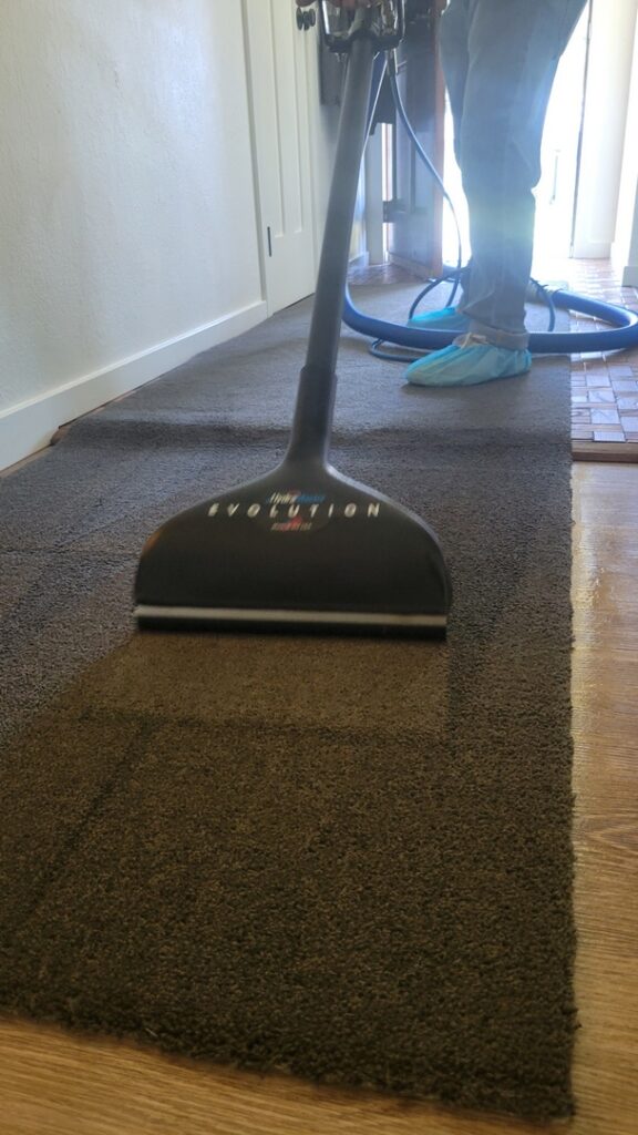 Rug cleaning service in Olympia, WA. Give us a call today for a free quote!